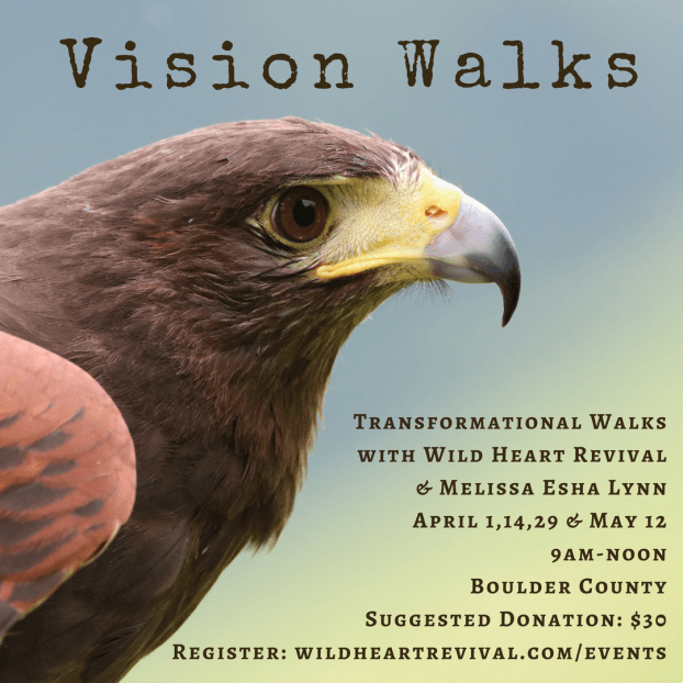 Spring Vision Walks 2018